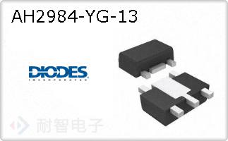 AH2984-YG-13